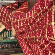 Bhandhini Gachola Checks Sarees - BGS05