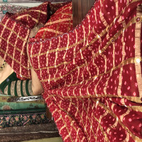 bhandhini-gachola-checks-sarees-bgs05