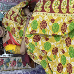 kalamkari-cotton-sarees-kcs12