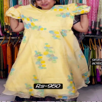 organza-frocks-lsizeorf12