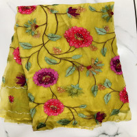 Designer Tissue saree-DTS01