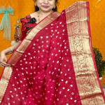 Bandhini Kanchi boarder saree-BKB02