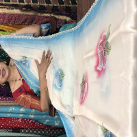Designer Sarees - DS02