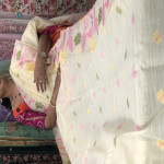 munga-jamdhani-sarees-mjs05