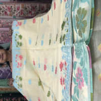 Munga Jamdhani sarees - MJS06