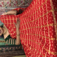 Bhandhini Gachola Checks Sarees - BGS01