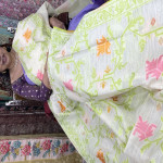 munga-jamdhani-sarees-mjs02