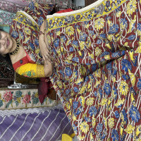 Kalamkari Cotton Sarees - KCS01