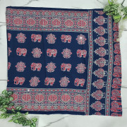 Model Silk Azhrakh With Mirror Work sarees-MAMS04
