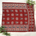 model-silk-azhrakh-with-mirror-work-sarees-mams05