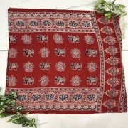 Model Silk Azhrakh With Mirror Work sarees-MAMS05