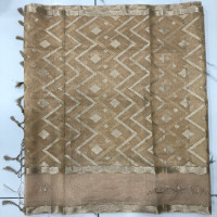 Designer Tissue Sarees-DTS03