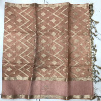 Designer Tissue Sarees-DTS04