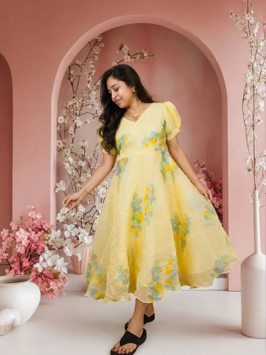 Organza Frocks,Size-L