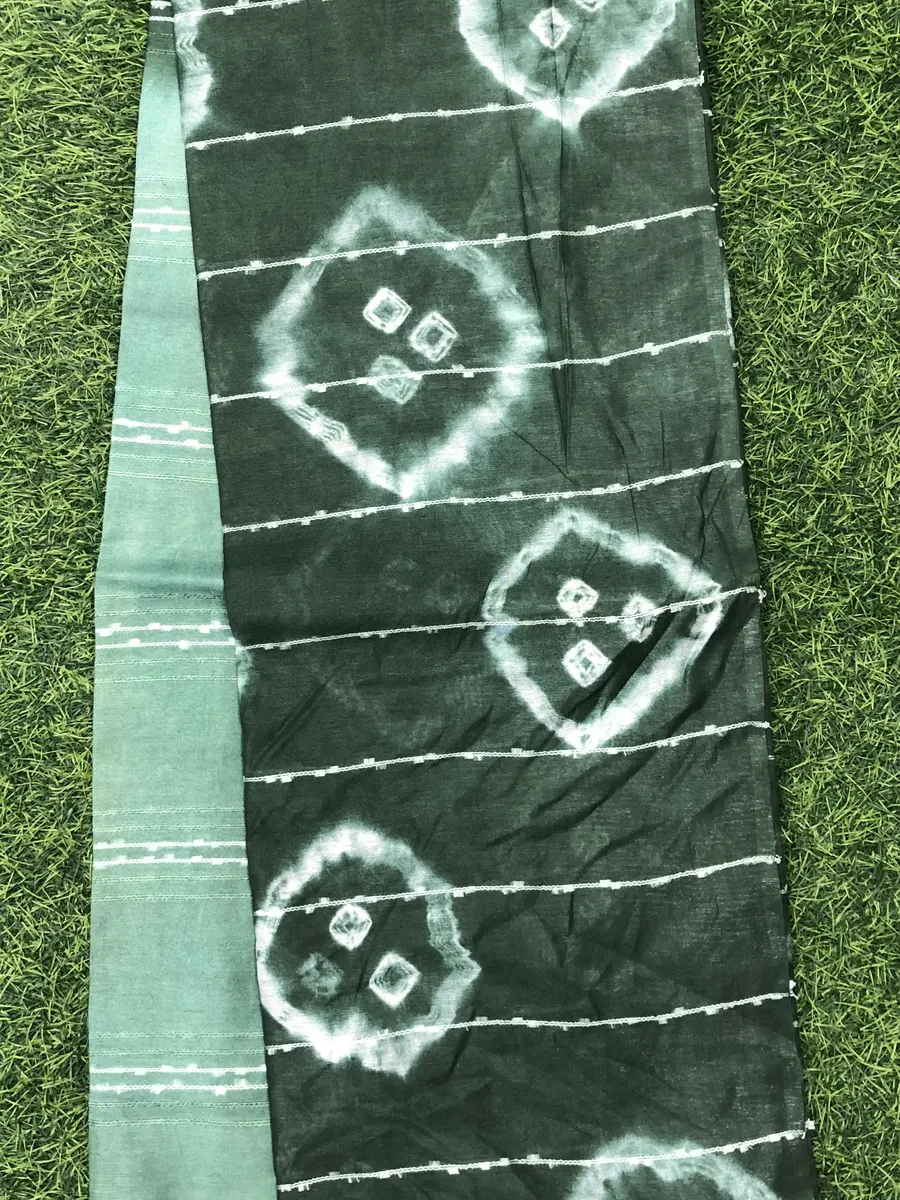 Baswada Tusser Saree